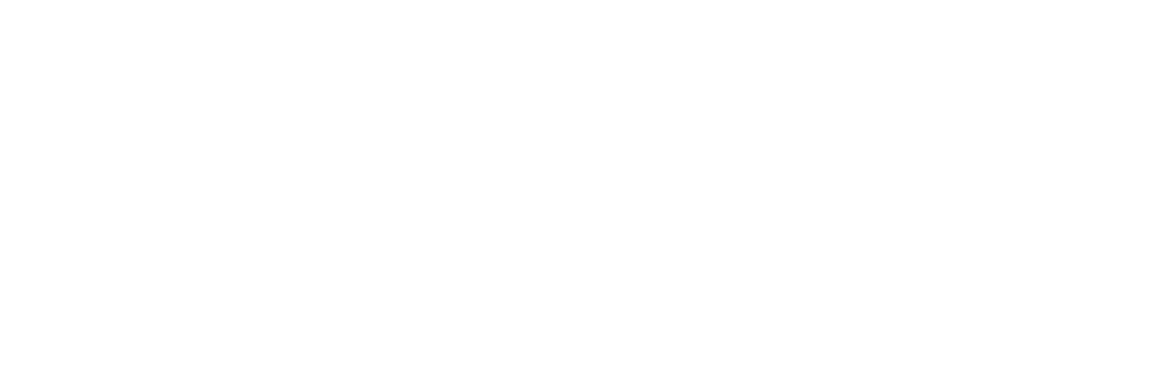 Pogiso's Tours